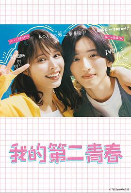 铜川网站优化多少钱